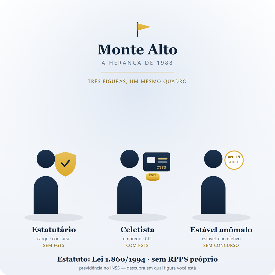 As três figuras do servidor de Monte Alto: o estatutário (com escudo, sem FGTS), o celetista (com carteira e FGTS) e o estável anômalo (selo do art. 19 do ADCT, sem concurso).